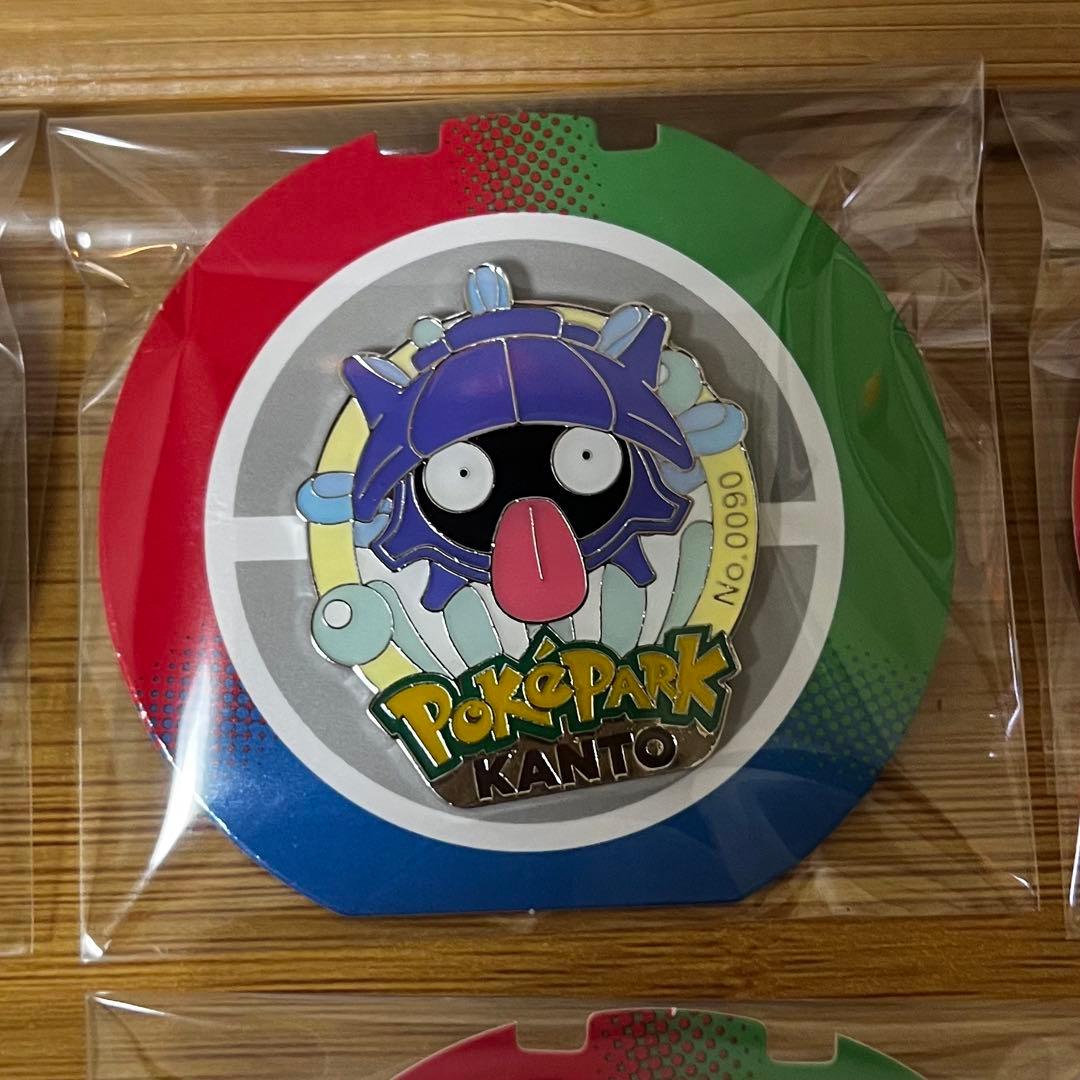 ポケパーク カントー 限定 ピンバッジ 13点