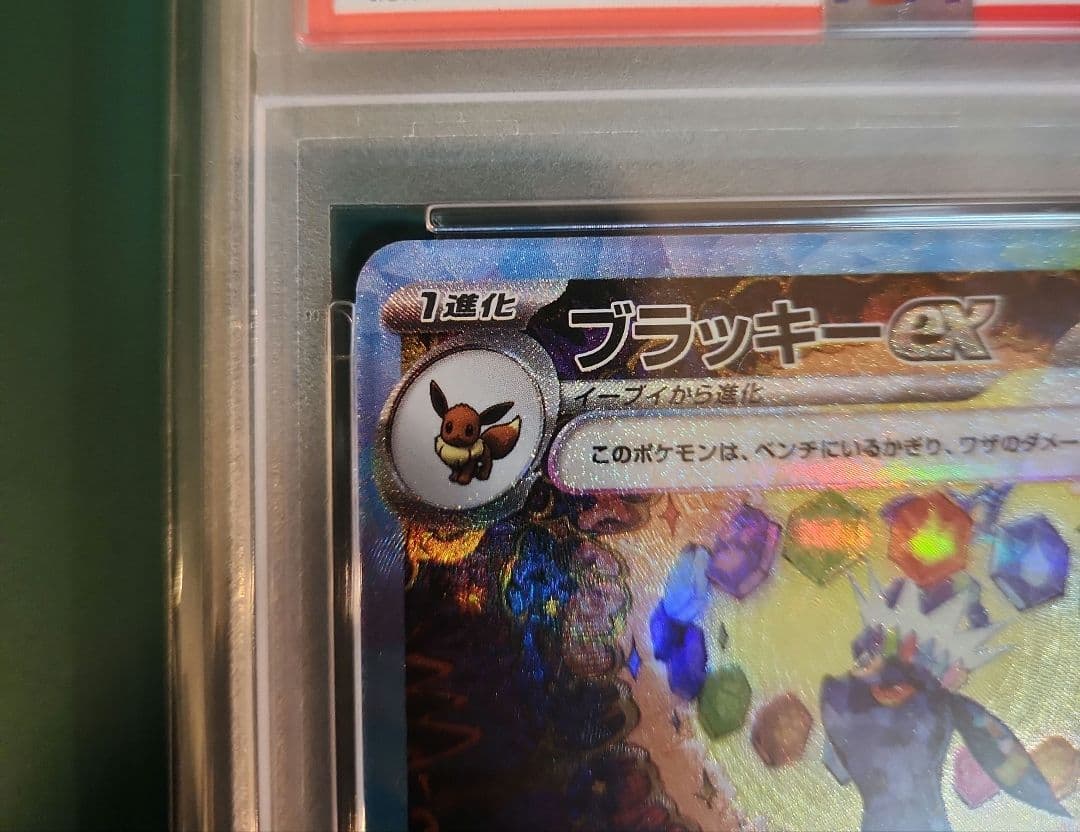 【PSA10】ブラッキーex SAR テラスタルフェス sv8a 217/187