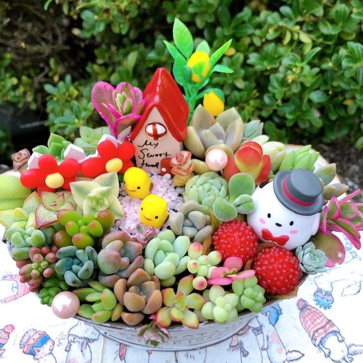 多肉植物寄せ植え♡♡仲良し小鳥さんみんなでお出かけ❤