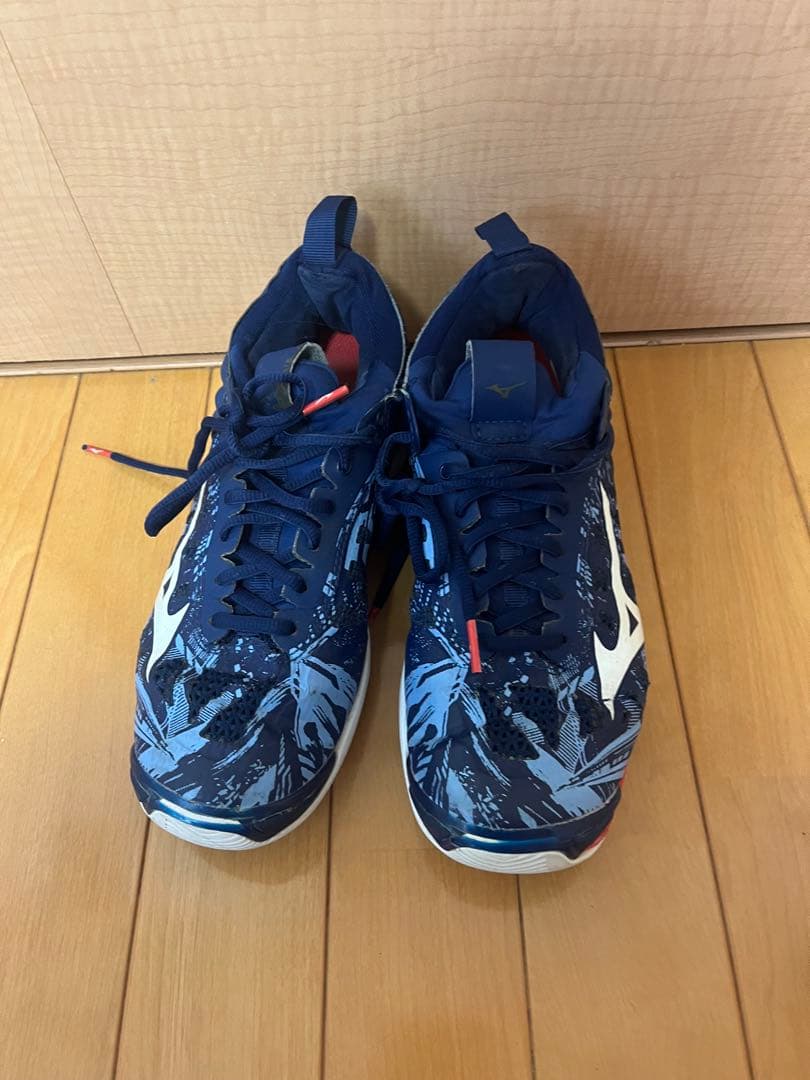 Mizuno バレーボールシューズ 日本代表デザイン