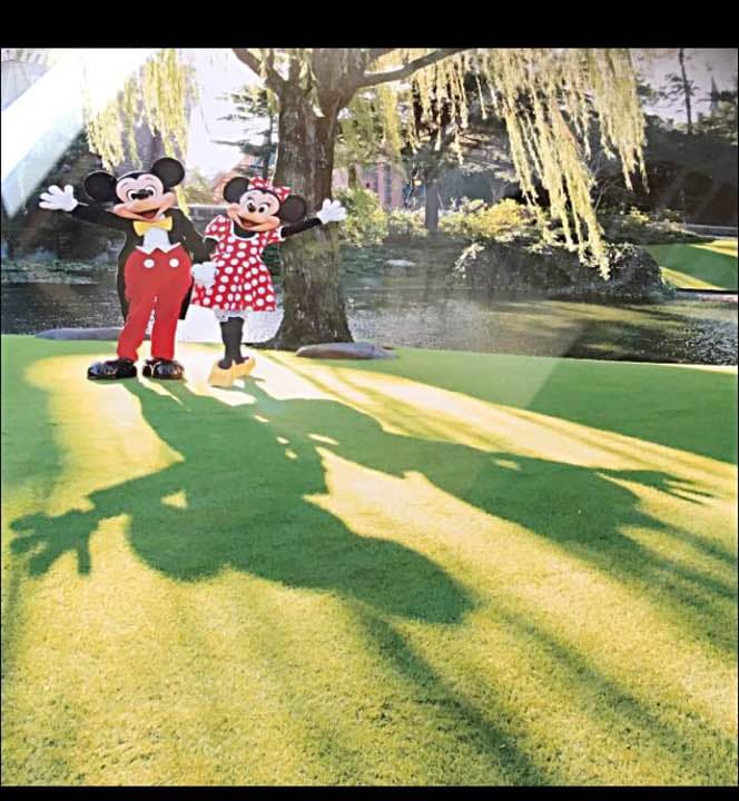 【新品未開封】TDL30周年 篠山紀信 ディズニー 額縁入り大判写真