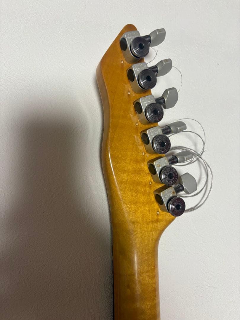 edenhaus custom guitar ストラト