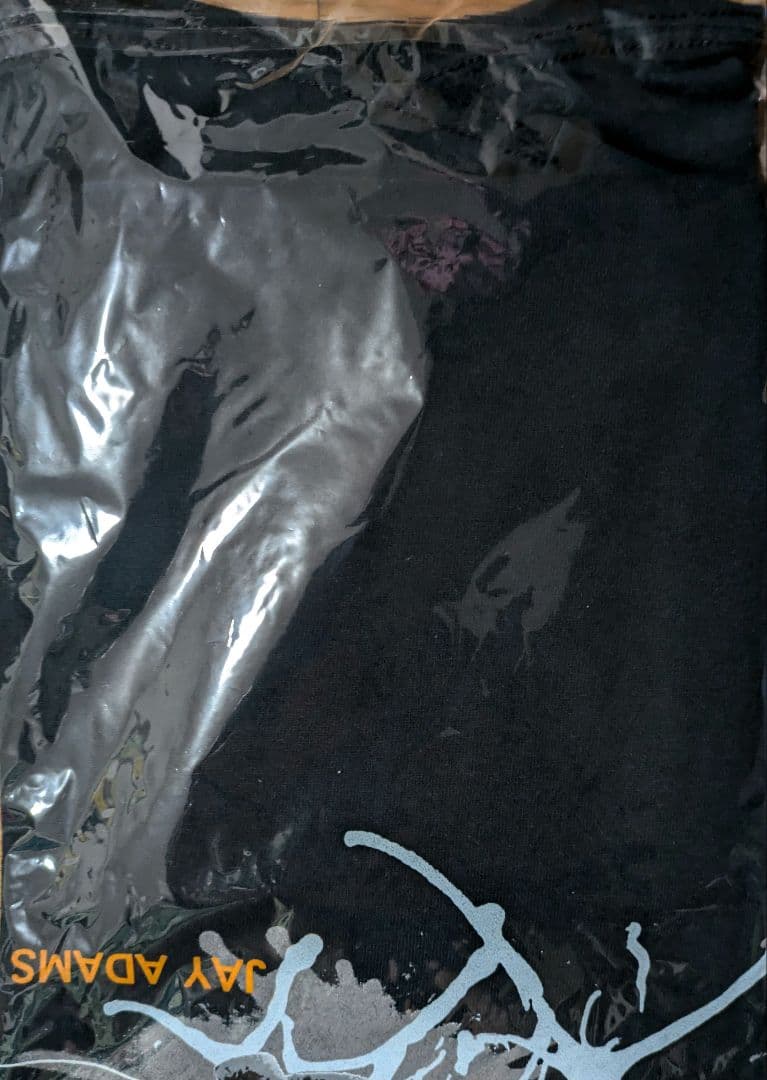 Jay Adams スケートボード Tシャツ ブラックM
