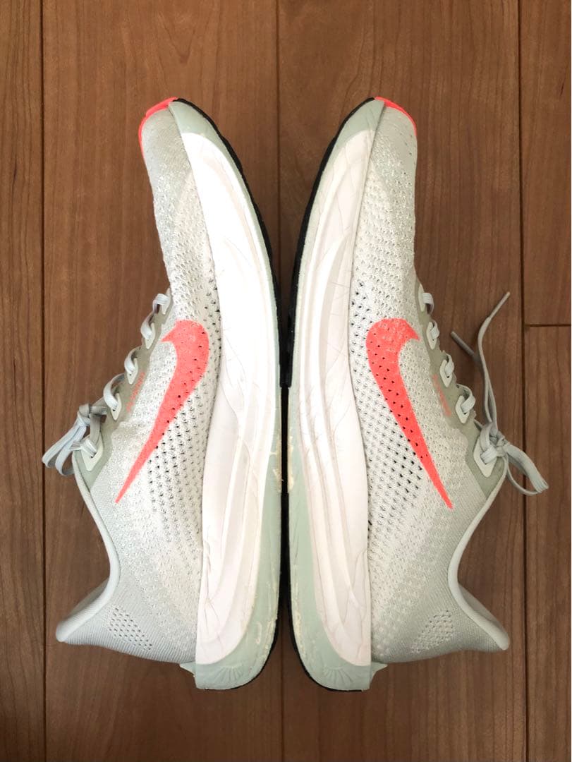 Nike Pegasus Plus 28cm ナイキ ペガサス プラス