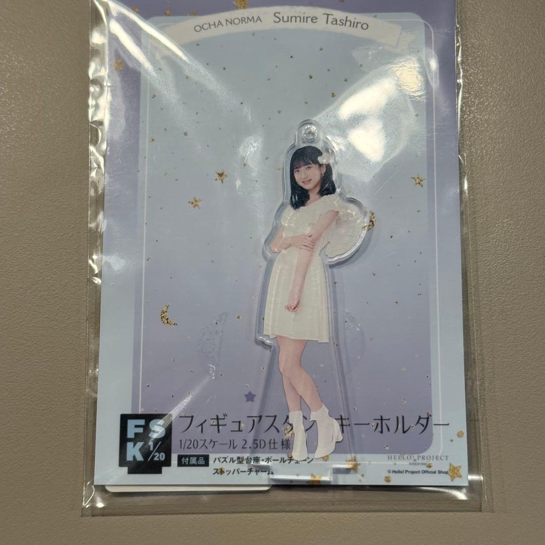 【値下げ】田代すみれ　FSK まとめ売り