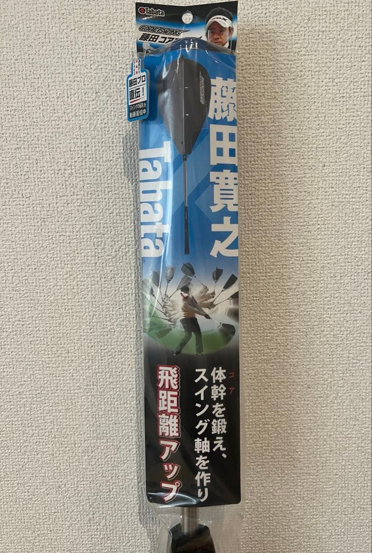 Tabata タバタ 藤田コアスイング GV-0233 トレーニング 練習 矯正