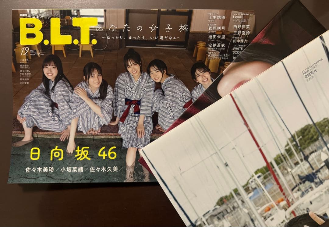 【〜3/1】日向坂写真集ポストカードポスター等セット　値下げ可
