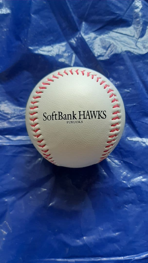 福岡ソフトバンク ホークス 細川 亨 #27 直筆 サイン ロゴ ボール