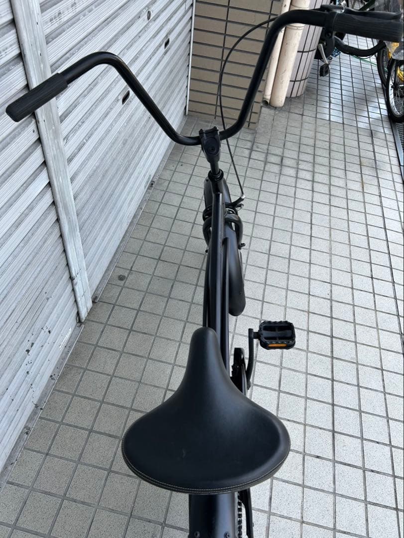 レインボー ビーチクルーザー 20インチ 後コスタブレーキ フレームクロモリ
