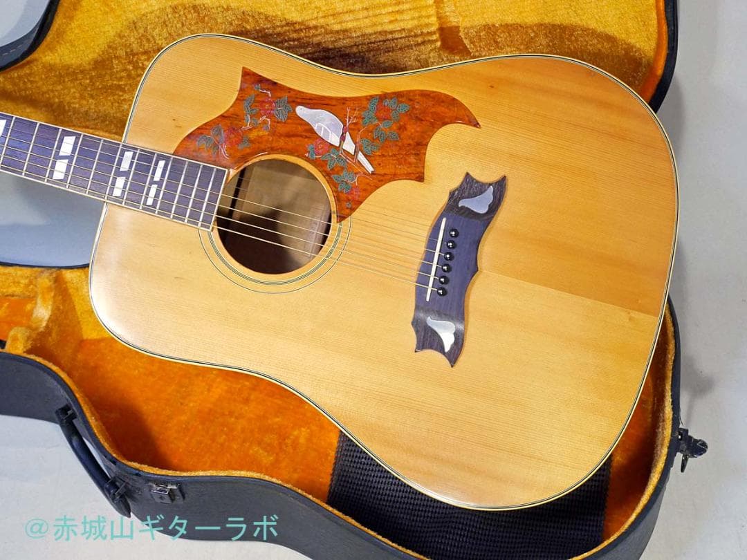 CANDA#303 1970年代フジゲン製 DOVEモデル☆ハードケース付