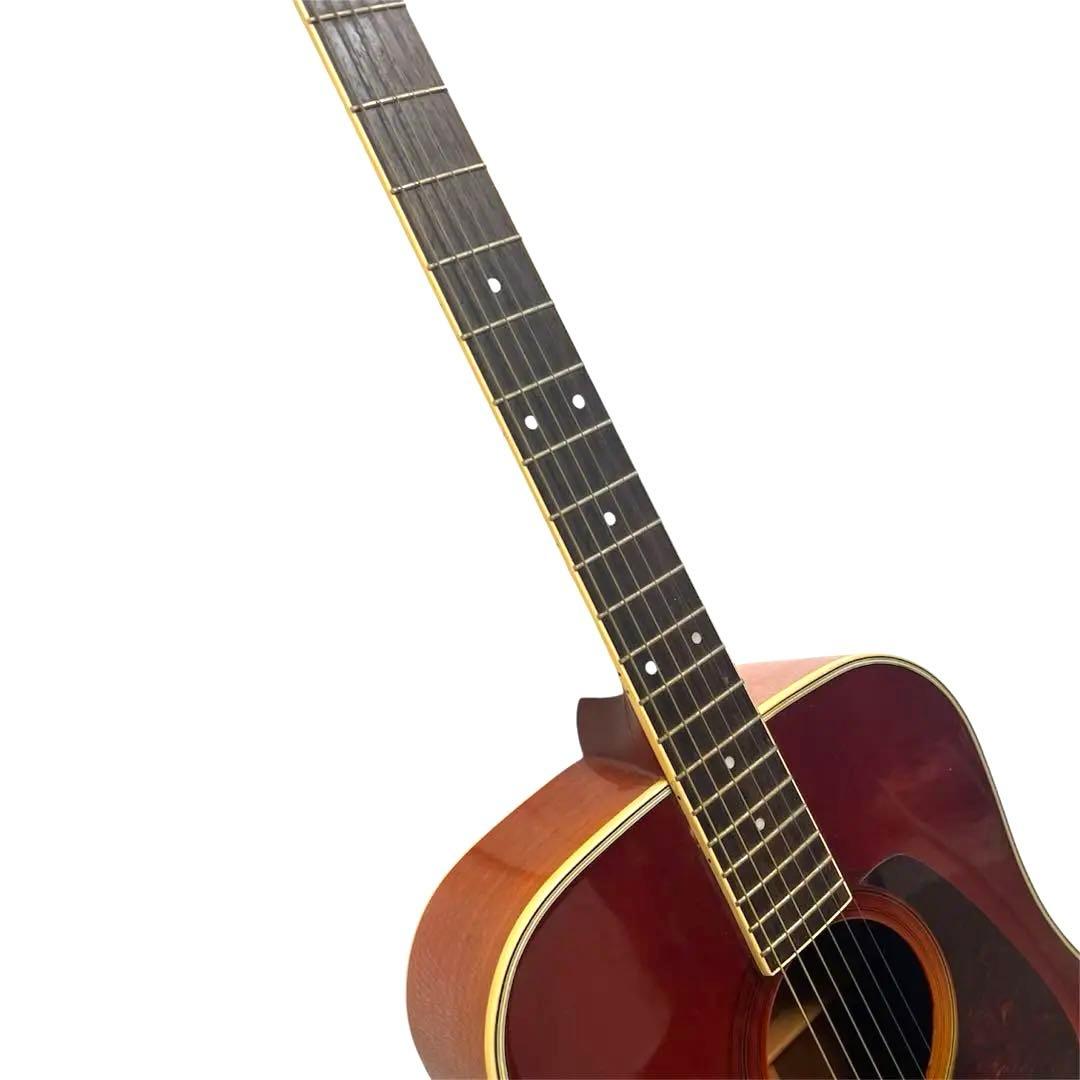 Morris MD-512 縦ロゴ アコースティックギター 希少カラー