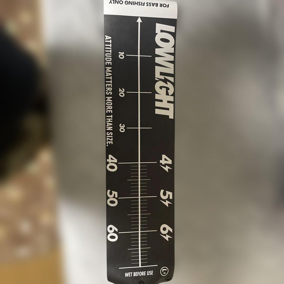 DAIWA 24TATULA TW 100H ベイトリールルアーとメジャー