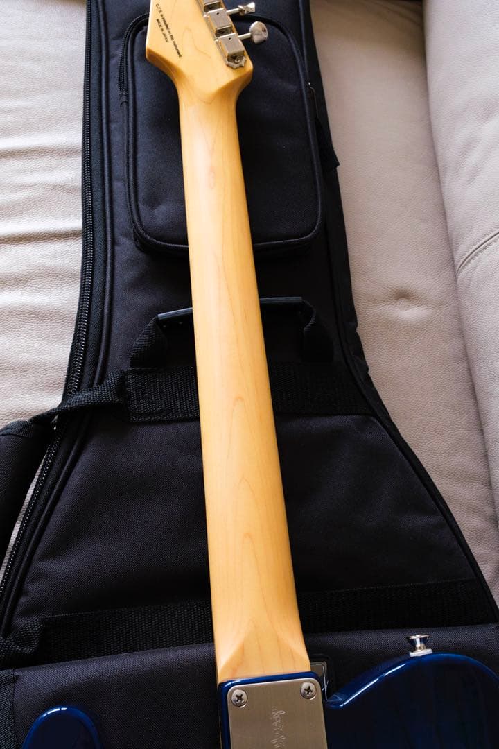 ギター FGN FUJIGEN NTE10MAH SBB Neo Classic