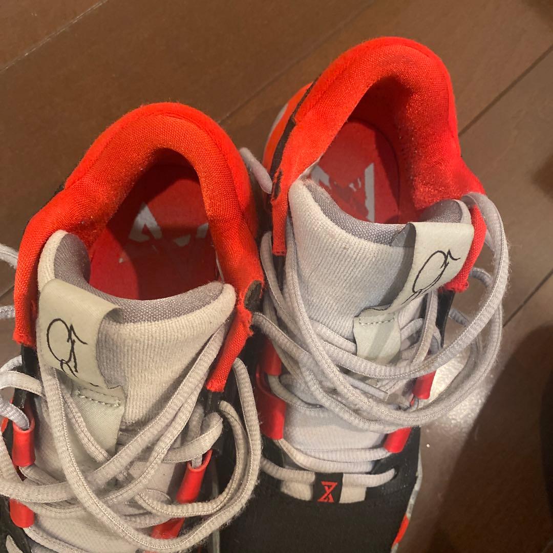 PG5 25.0センチ