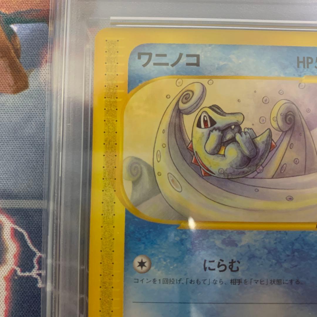 ポケモンカードe ワニノコ　psa10