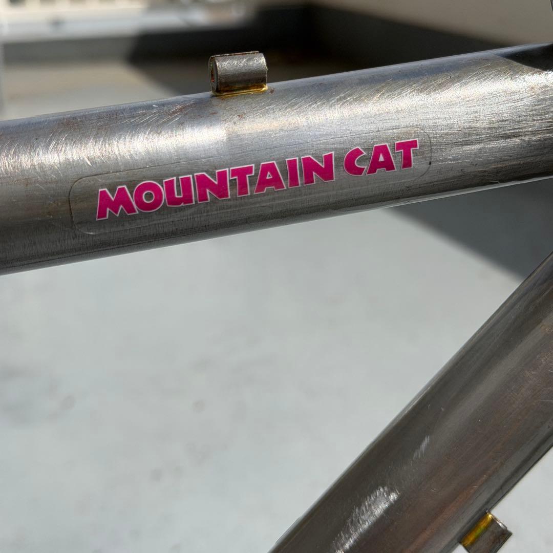 OLD MTB mountain cat マウンテンキャット フレーム