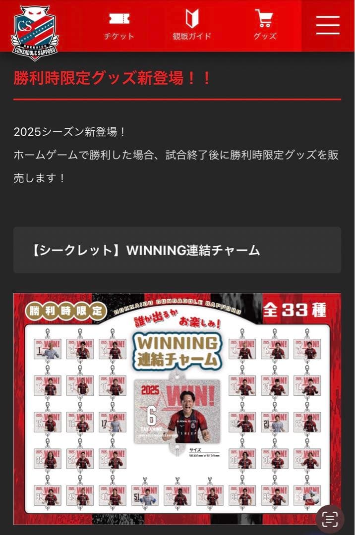 【新品未使用】北海道コンサドーレ札幌 WINNING連結チャーム