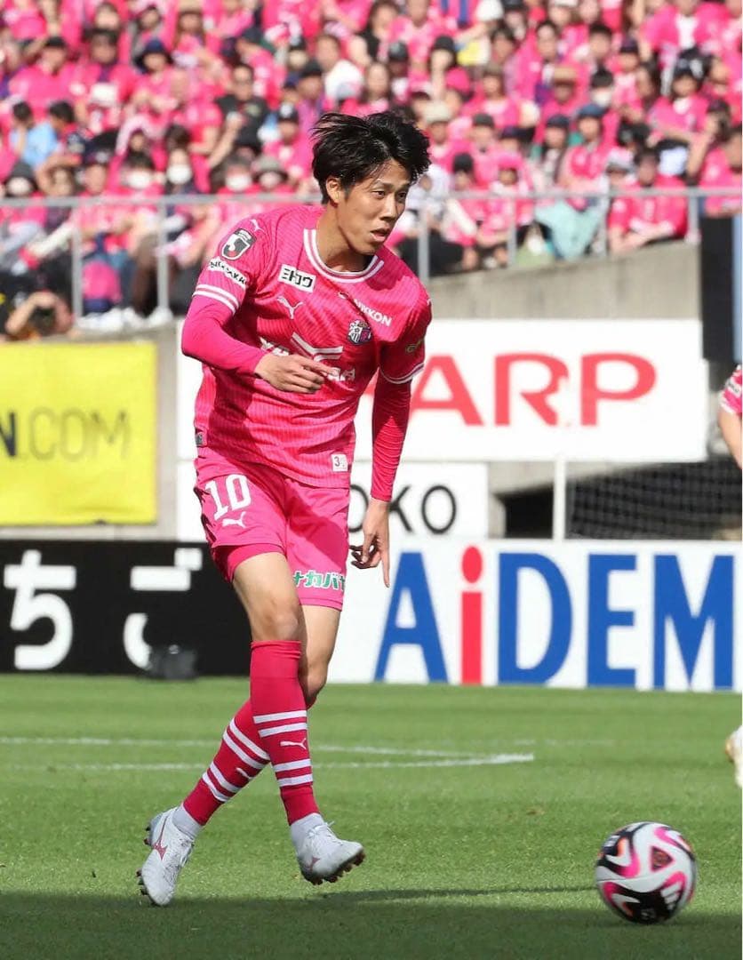 田中駿汰Lサイズセレッソ大阪ユニフォーム