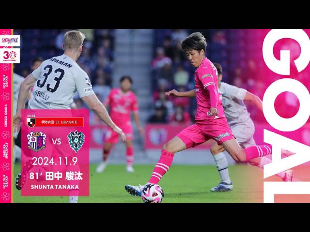 田中駿汰Lサイズセレッソ大阪ユニフォーム