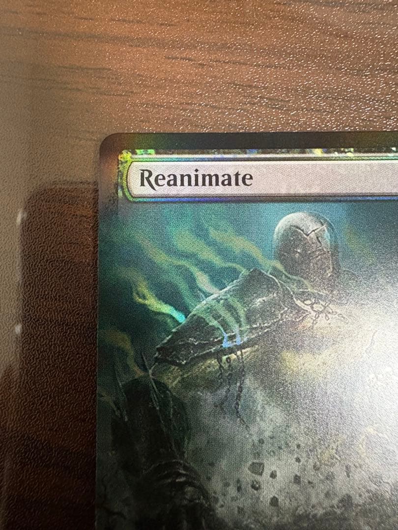 Reanimate 再活性