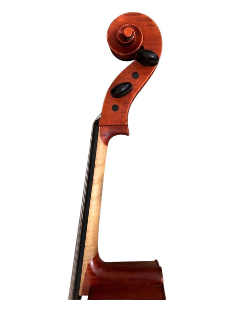 Gliga チェロ 4/4