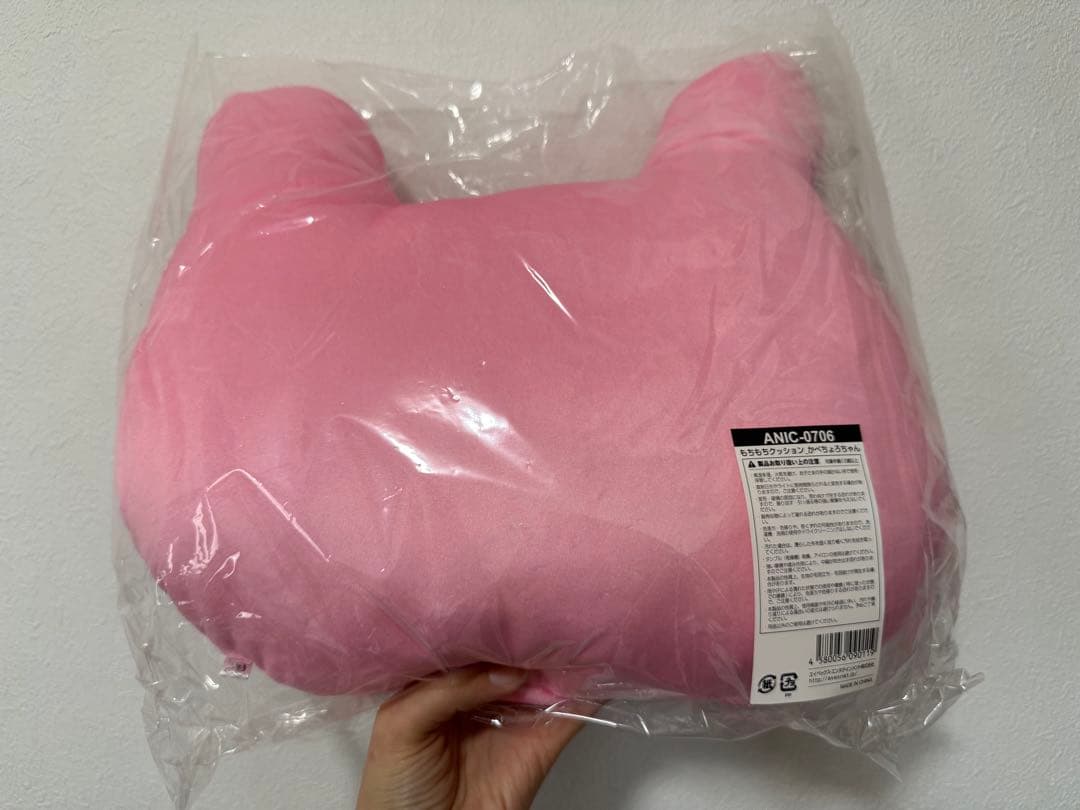 Da-iCE かべちょろちゃん　クッション