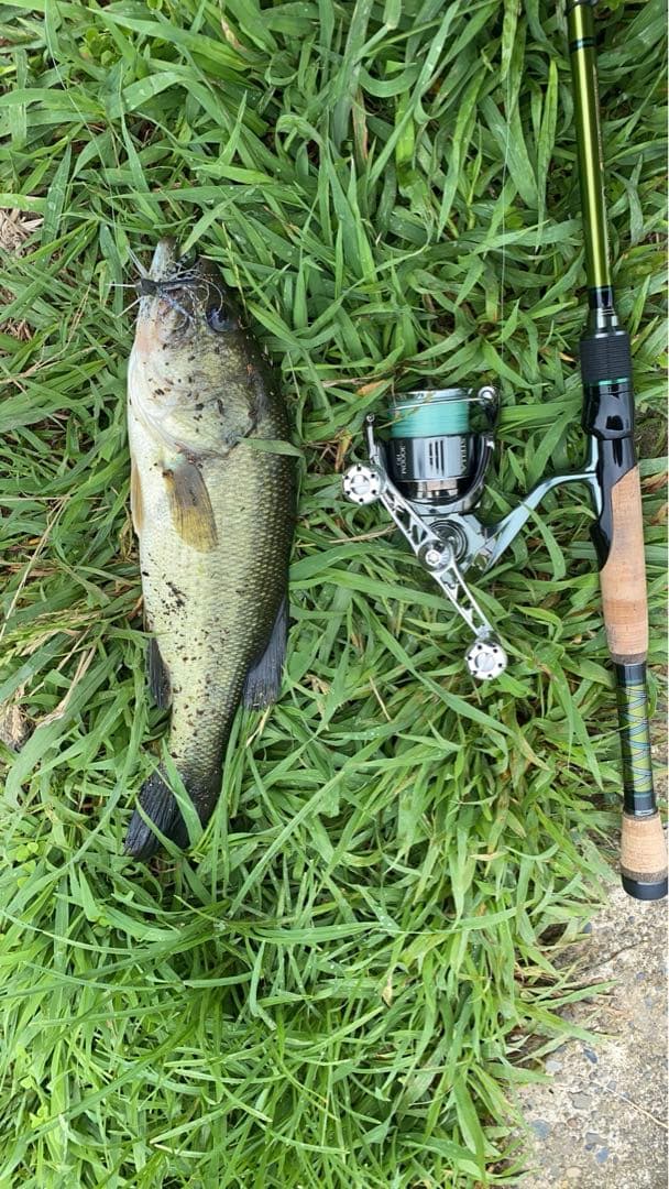 22 SHIMANO STELLA 3000MHG シマノ　22ステラ