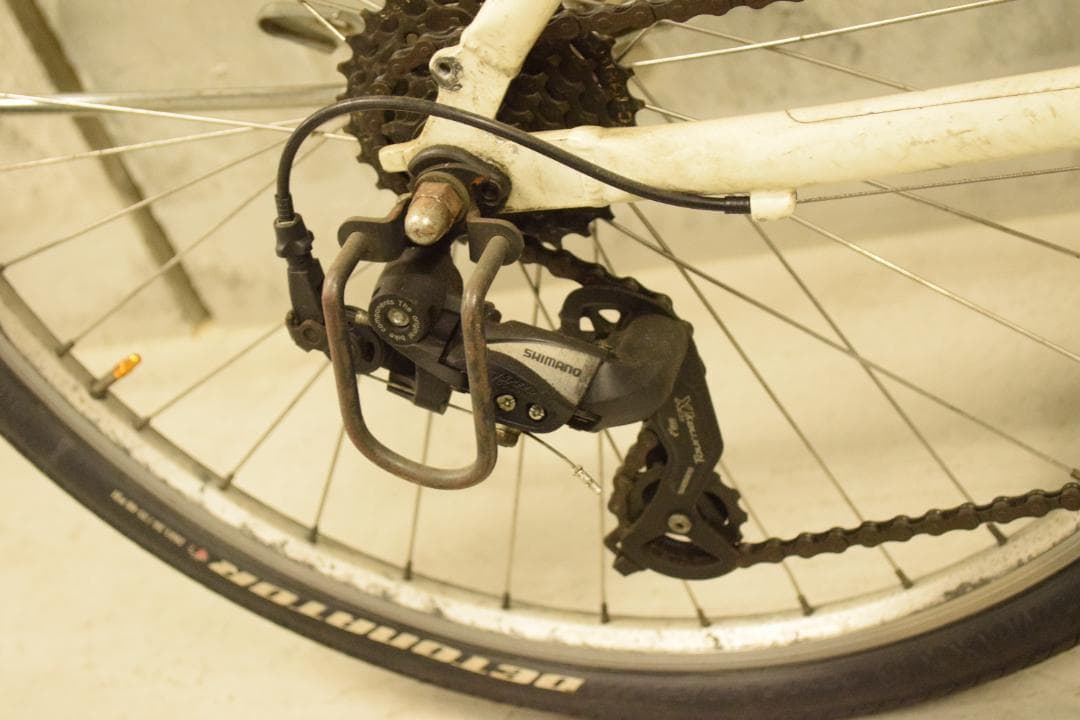 LGS-TR2 / LOUIS GARNEAU / ルイガノ