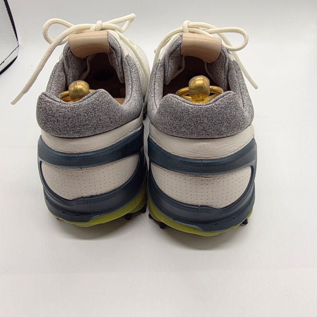 ecco BIOM G3 エコー ゴアテックス ゴルフシューズ 本革 40
