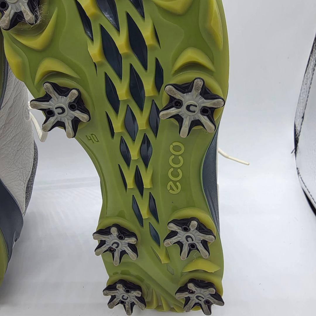 ecco BIOM G3 エコー ゴアテックス ゴルフシューズ 本革 40