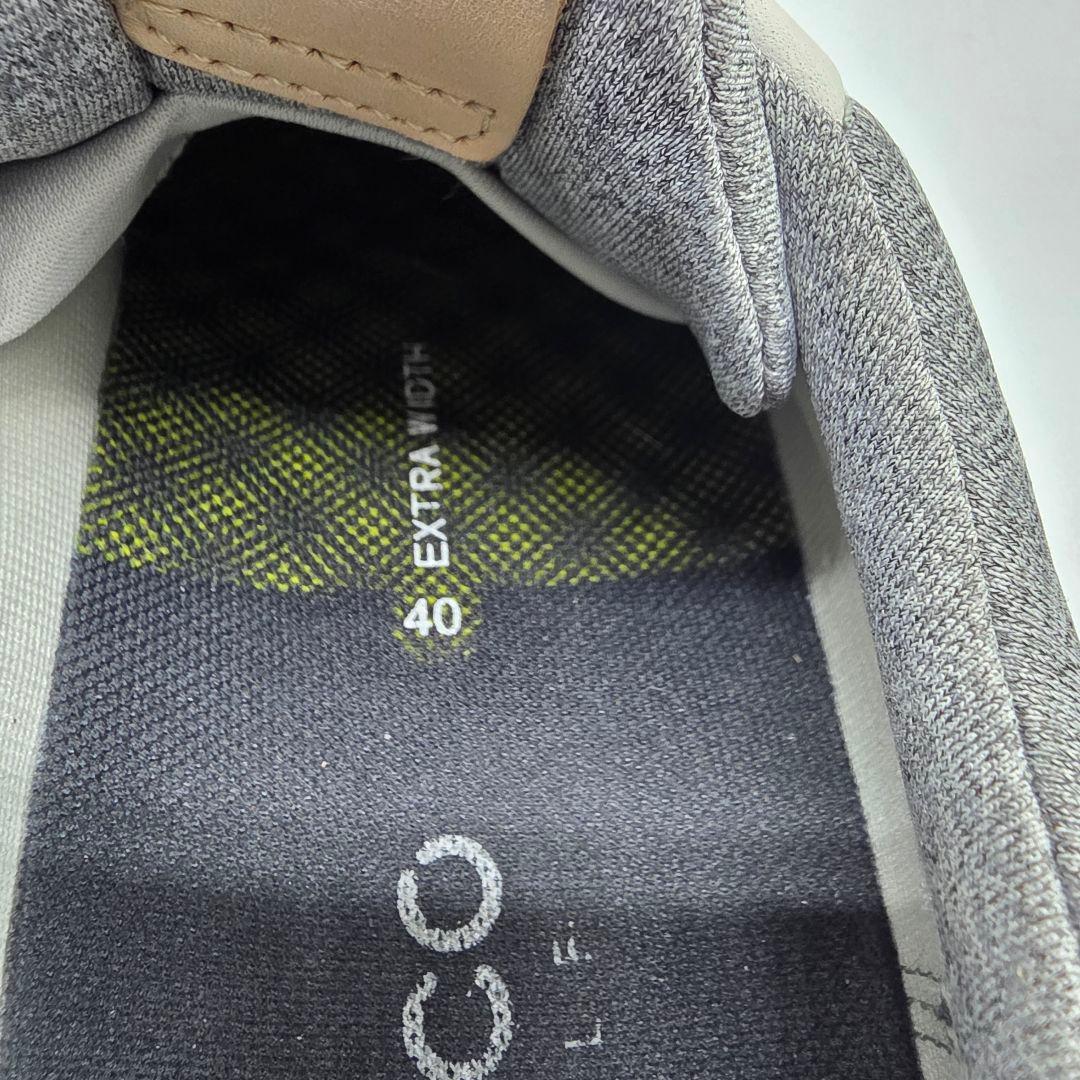 ecco BIOM G3 エコー ゴアテックス ゴルフシューズ 本革 40
