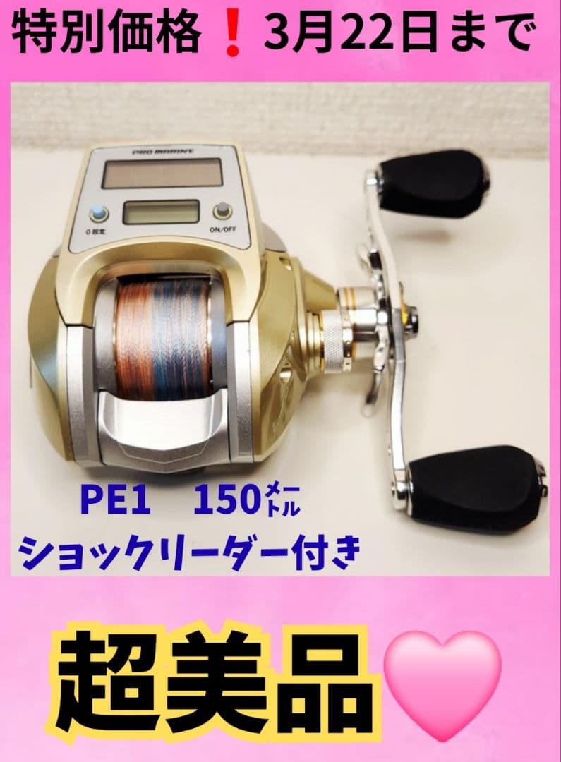 【超美品】プロマリン　ソーラーカウンター付き　海釣りベイトリール