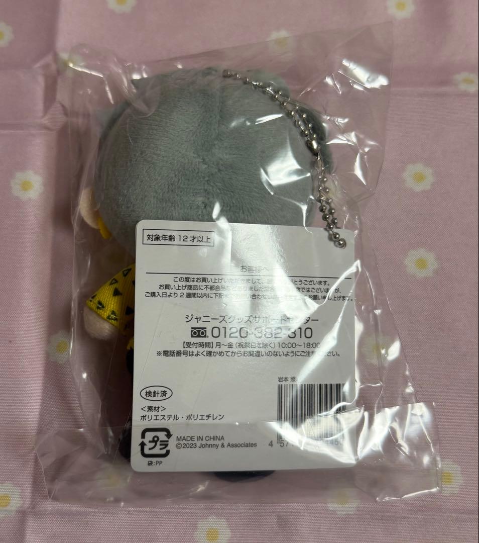  Man 岩本照 すのチル アクリルスタンド ミニフォトセット