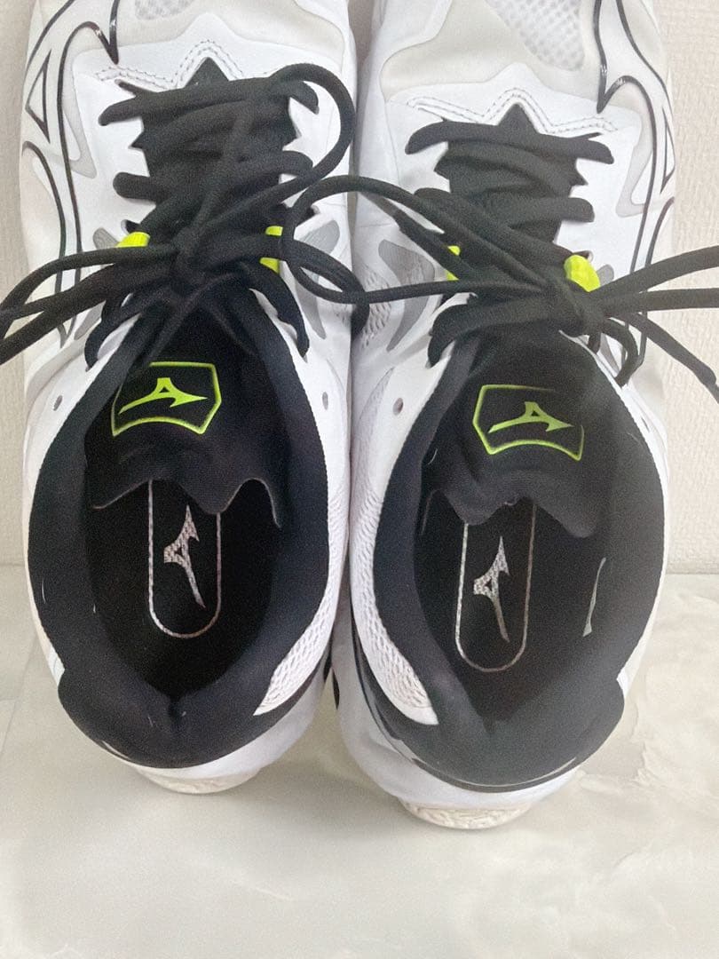 Mizuno バレーボールシューズ　ウエーブライトニング Z8 25.5