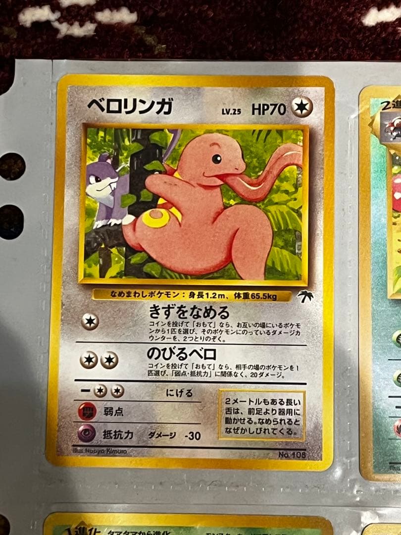 【旧裏】サザンアイランド　トロピカルアイランド　ファイルセット開封品　ポケモン