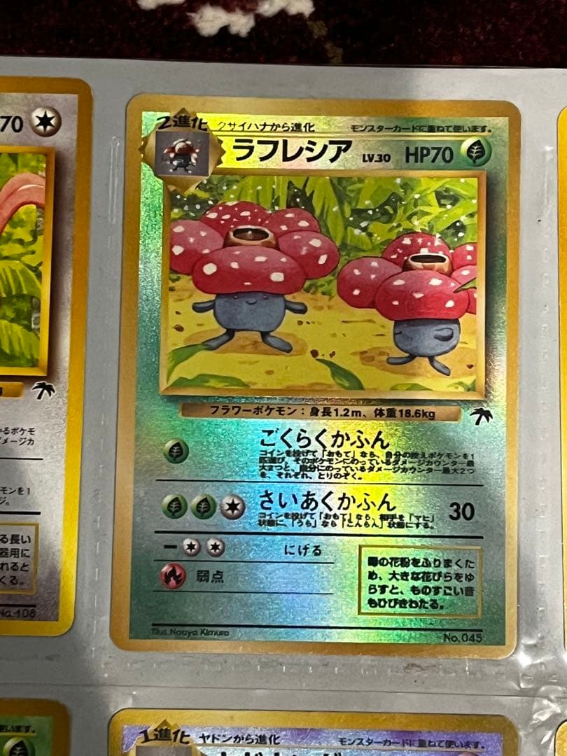 【旧裏】サザンアイランド　トロピカルアイランド　ファイルセット開封品　ポケモン