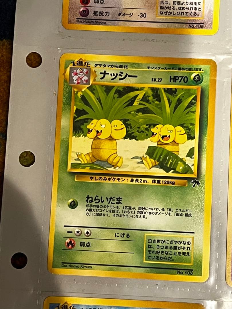 【旧裏】サザンアイランド　トロピカルアイランド　ファイルセット開封品　ポケモン