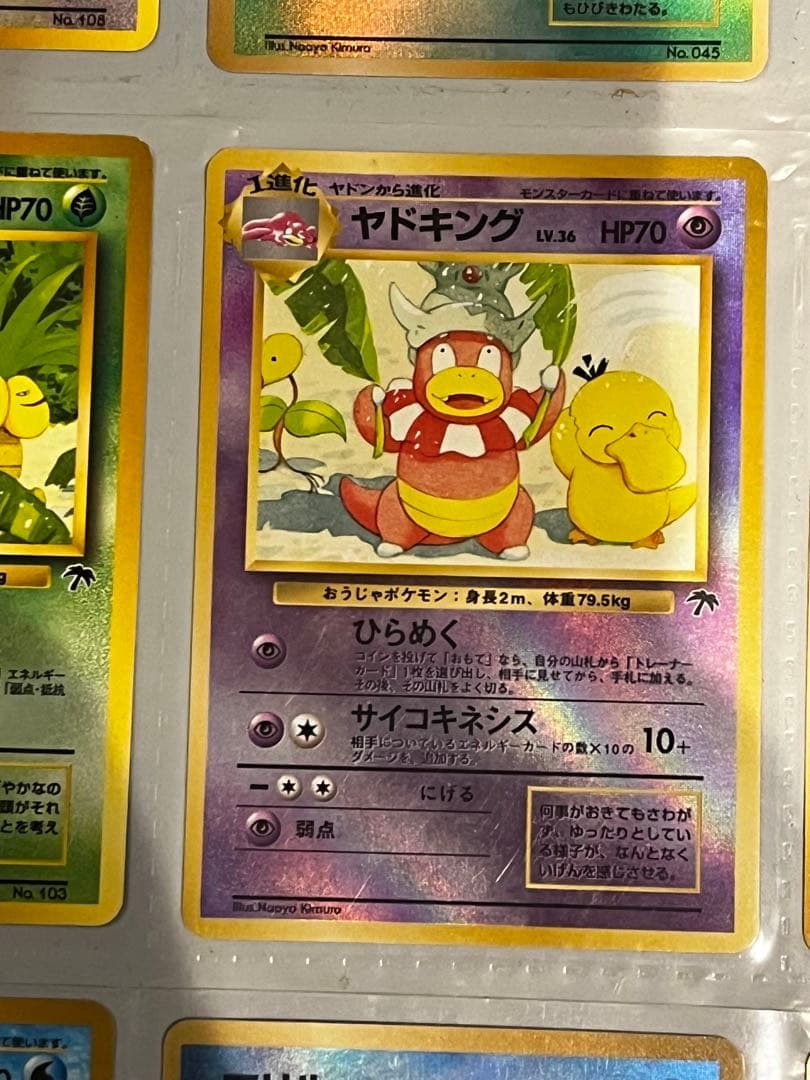 【旧裏】サザンアイランド　トロピカルアイランド　ファイルセット開封品　ポケモン