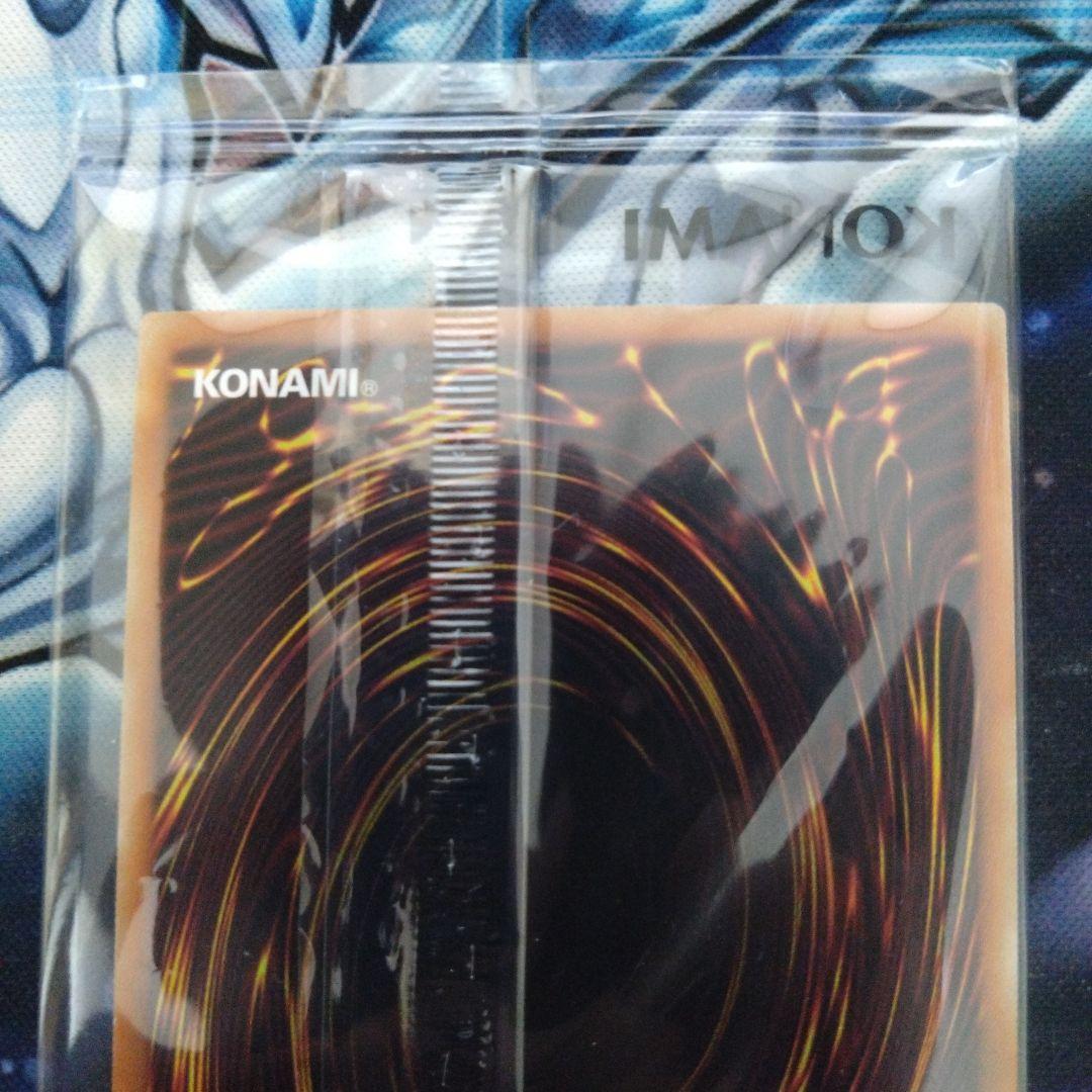 聖なるバリアミラーフォース　ブルシク