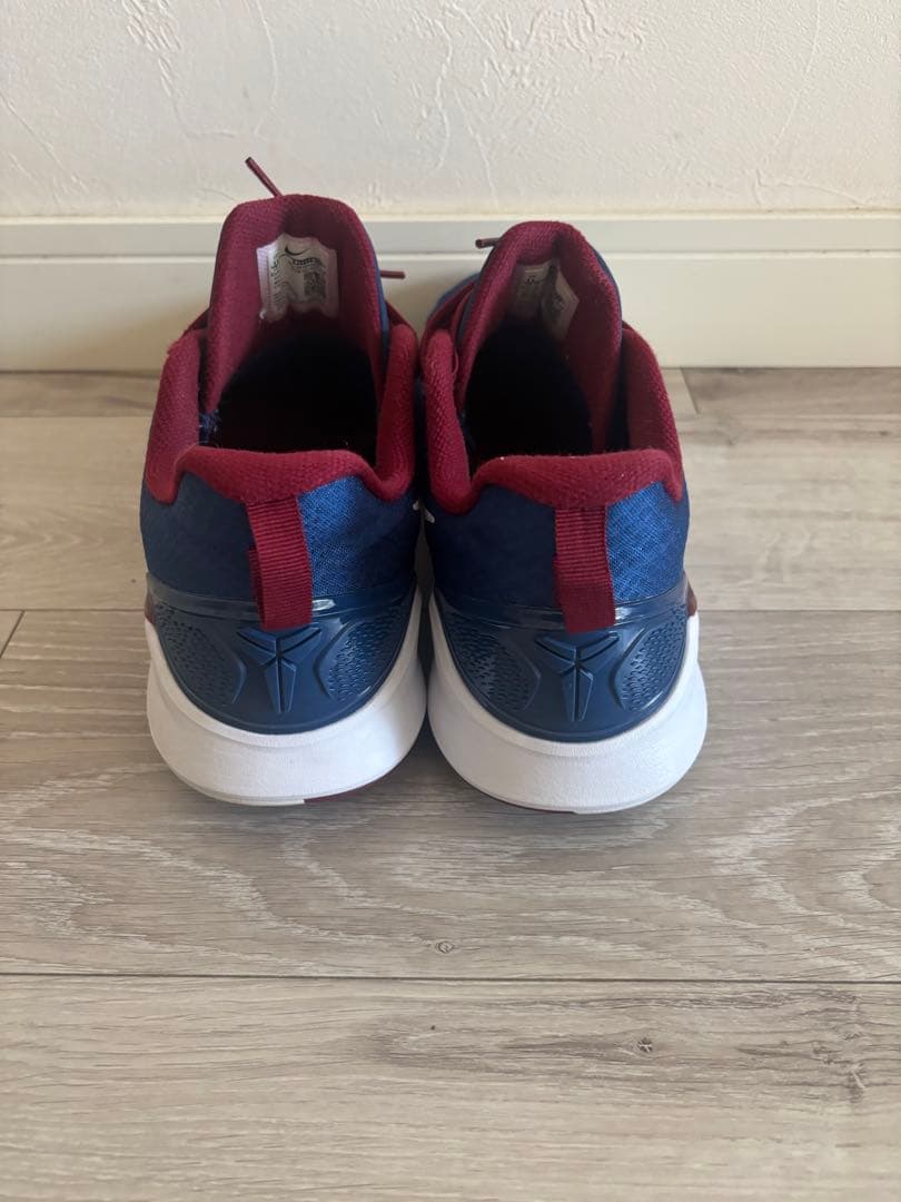 シューズ(男性用) NIKE KOBE MAMBA FOCUS 29.0cm US11