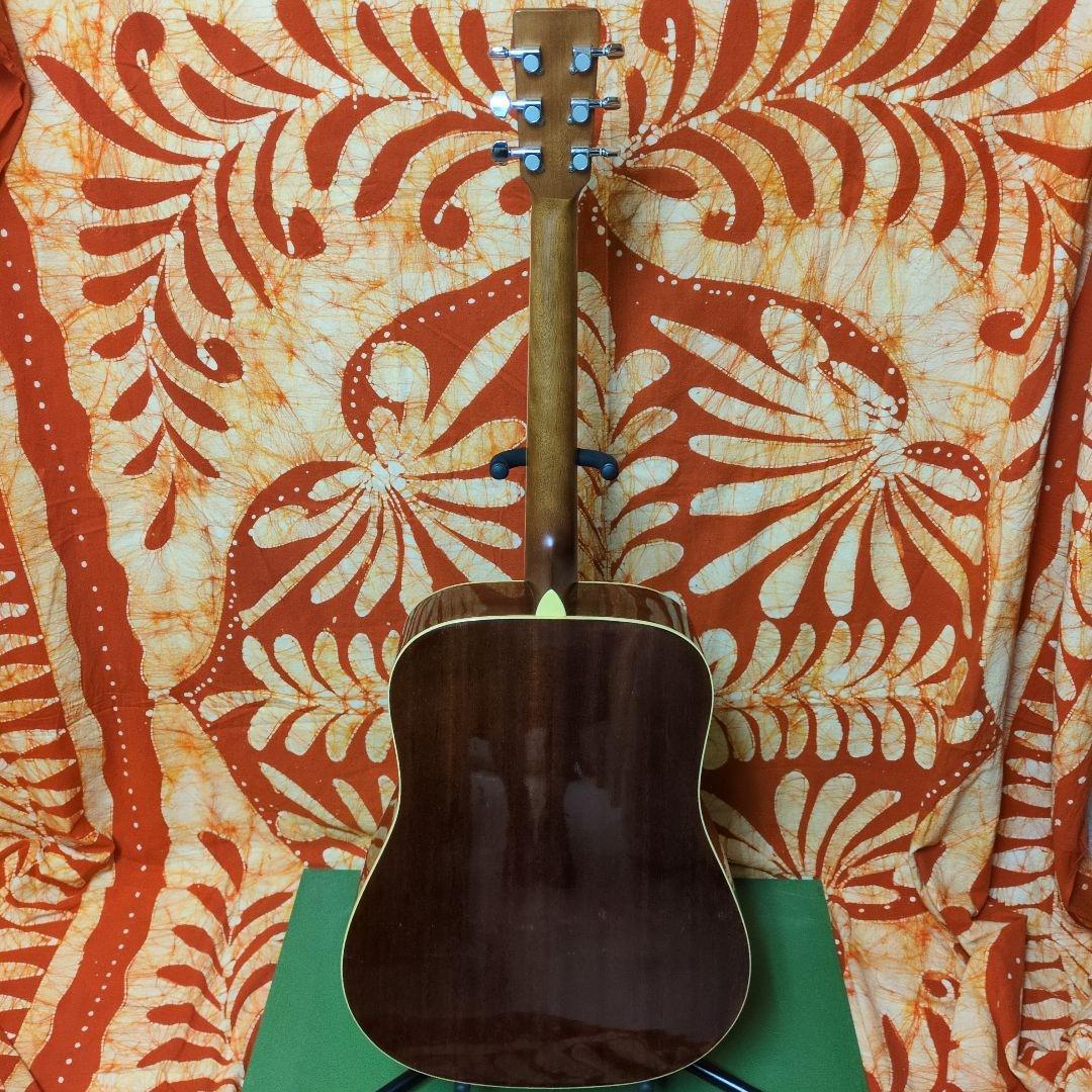 Cooder by Takamine CD-1 アコースティックギター