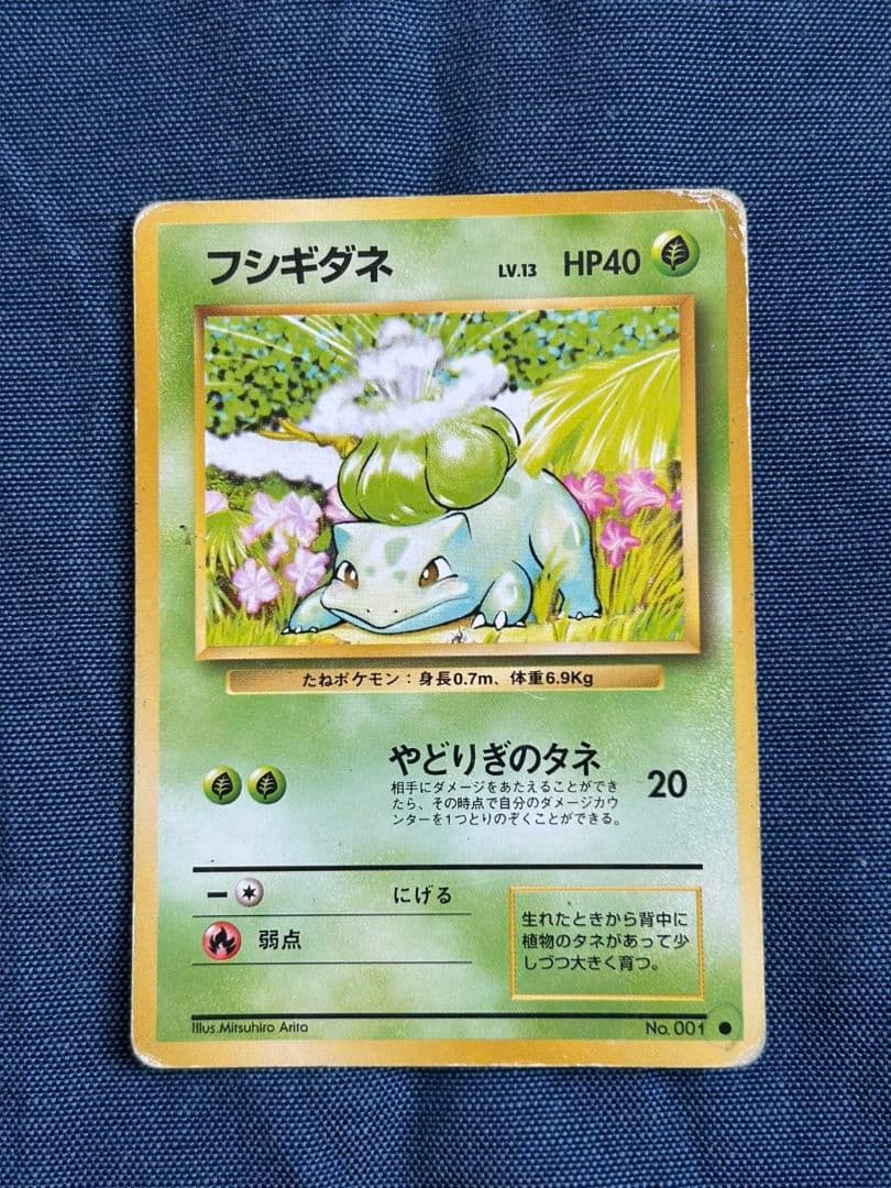 わるいフシギソウ、わるいフシギバナ　ポケモンカードセット