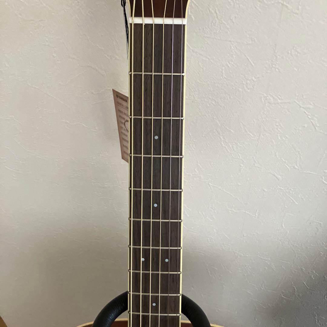 【新品】YAMAHA LL6 ARE セミハードケース付