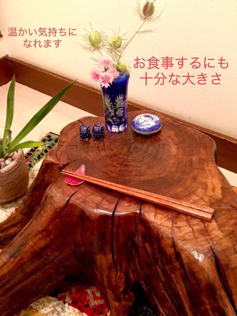 天然楢の木＊根本部分【森の王様の切り株テーブル】テーブル＊ちゃぶ台＊インテリア台