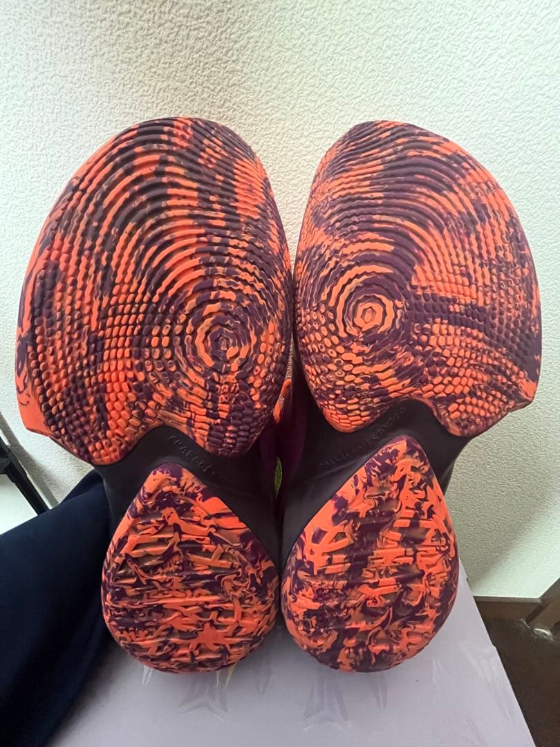シューズ(男性用) NIKE zoomfreak2