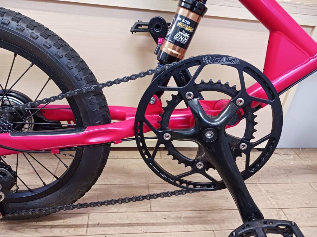 Eizer Mini Beast カスタム車両