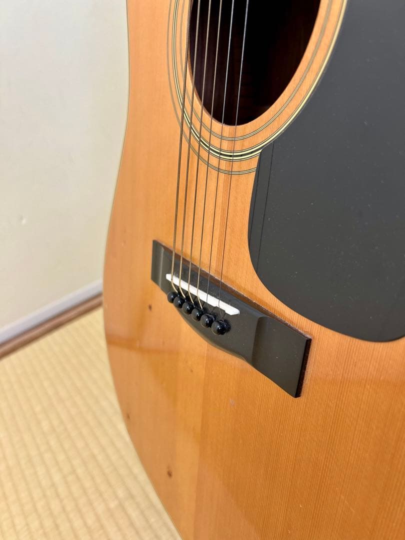 ギター YAMAHA FG-301B Acoustic Guitar