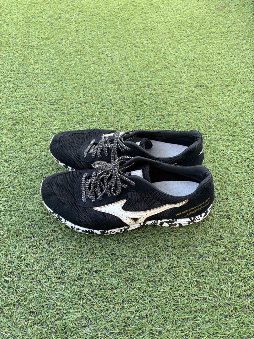 MIZUNOウエーブエンペラーJAPAN 24.5