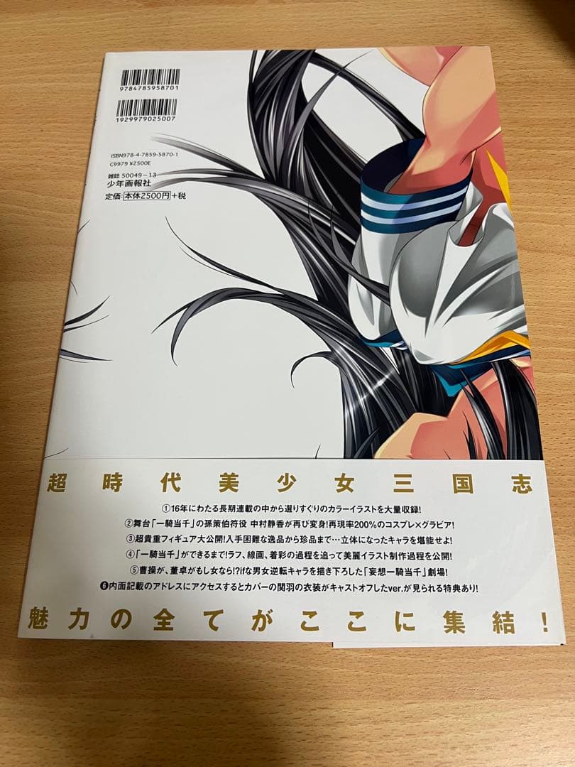 一騎当千 Animation Art Works I & IIと別冊