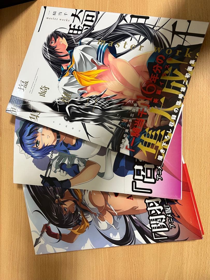 一騎当千 Animation Art Works I & IIと別冊